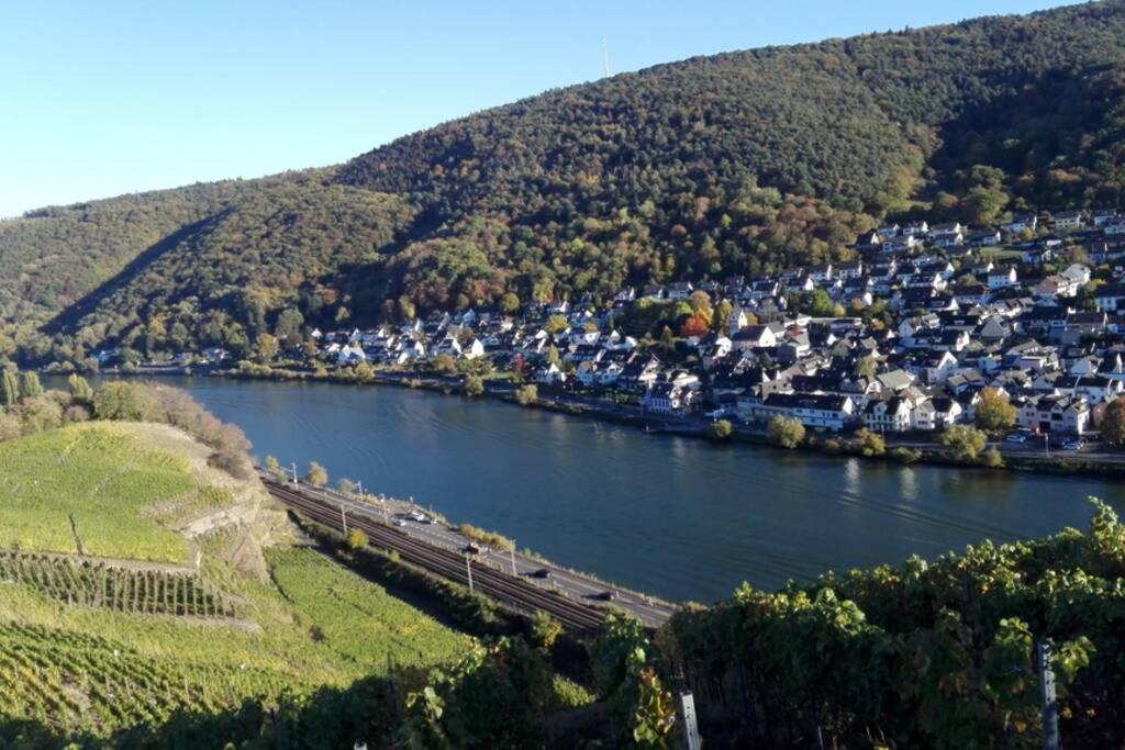 Ferienhaus Chalet Marc Am Moselbogen Villa Koblenz  Luaran gambar